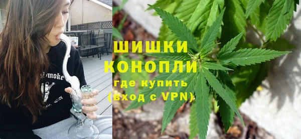 ПСИЛОЦИБИНОВЫЕ ГРИБЫ Аркадак