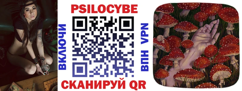Галлюциногенные грибы Psilocybine cubensis  Поронайск 